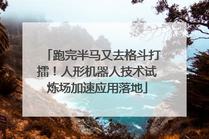 跑完半马又去格斗打擂！人形机器人技术试炼场加速应用落地