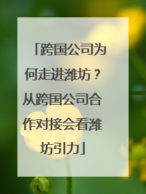 跨国公司为何走进潍坊？从跨国公司合作对接会看潍坊引力