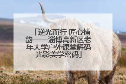 逆光而行 匠心捕韵——淄博高新区老年大学户外课堂解码光影美学密码