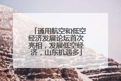 通用航空和低空经济发展论坛首次亮相，发展低空经济，山东机遇多