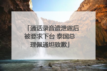 通话录音遭泄露后被要求下台 泰国总理佩通坦致歉
