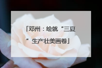 邓州：绘就“三夏”生产壮美画卷