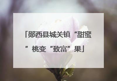 郧西县城关镇“甜蜜”桃变“致富”果