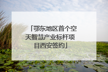 鄂东地区首个空天智慧产业标杆项目西安签约