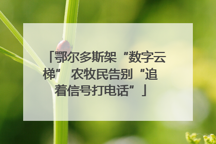 鄂尔多斯架“数字云梯” 农牧民告别“追着信号打电话”