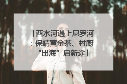 酉水河遇上尼罗河：保靖黄金茶、村厨“出海”启新途