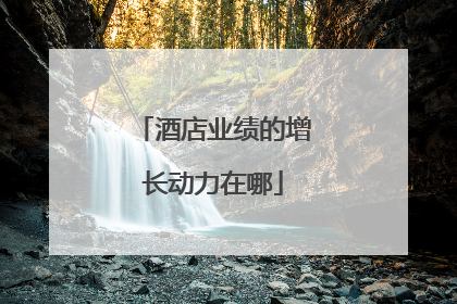 酒店业绩的增长动力在哪