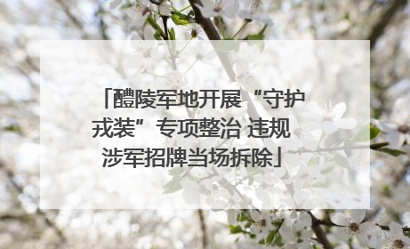 醴陵军地开展“守护戎装”专项整治 违规涉军招牌当场拆除