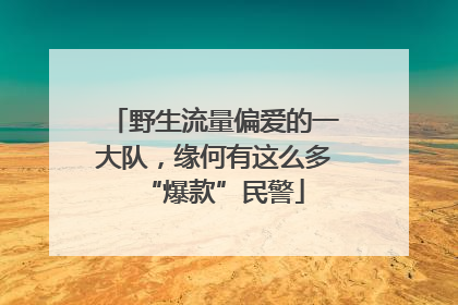 野生流量偏爱的一大队，缘何有这么多“爆款”民警