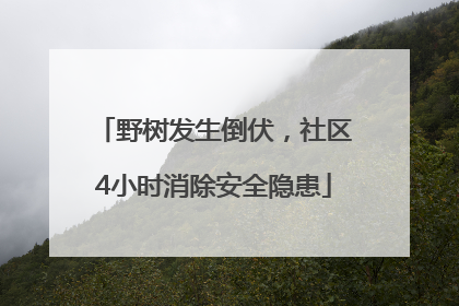野树发生倒伏，社区4小时消除安全隐患