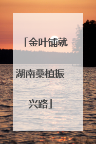 金叶铺就湖南桑植振兴路