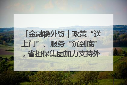 金融稳外贸｜政策“送上门”、服务“沉到底”，省担保集团加力支持外经贸高质量发展