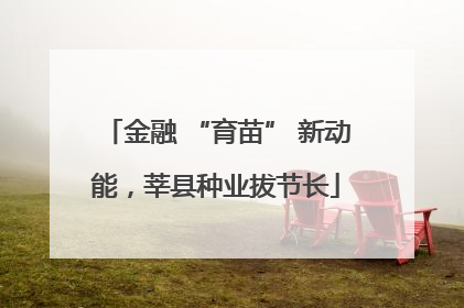 金融 “育苗” 新动能，莘县种业拔节长
