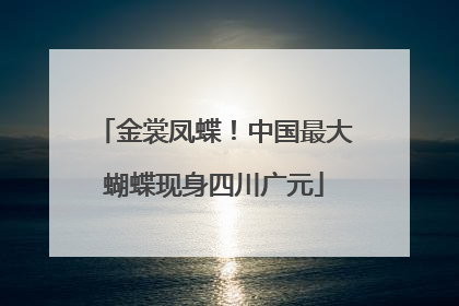 金裳凤蝶！中国最大蝴蝶现身四川广元