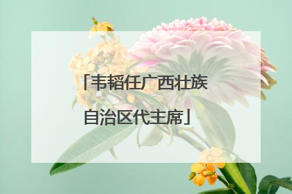 韦韬任广西壮族自治区代主席