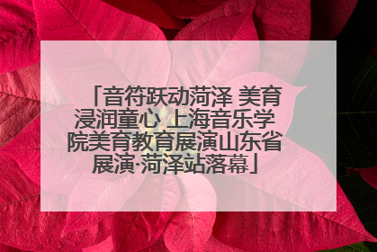 音符跃动菏泽 美育浸润童心 上海音乐学院美育教育展演山东省展演·菏泽站落幕