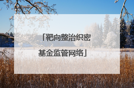 靶向整治织密基金监管网络