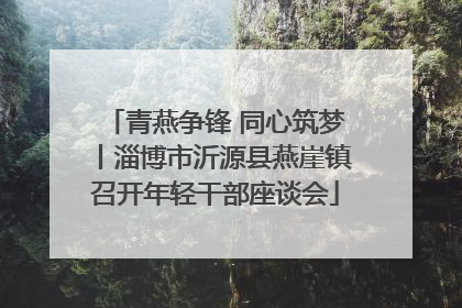 青燕争锋 同心筑梦丨淄博市沂源县燕崖镇召开年轻干部座谈会