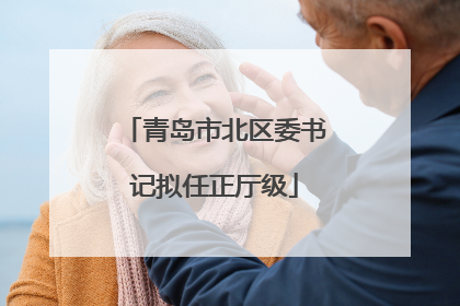 青岛市北区委书记拟任正厅级