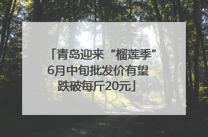 青岛迎来“榴莲季” 6月中旬批发价有望跌破每斤20元