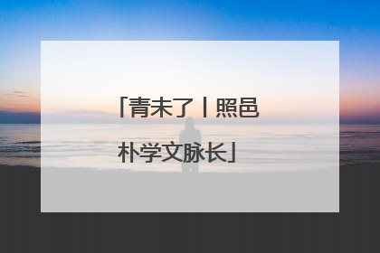 青未了丨照邑朴学文脉长