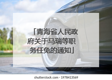 青海省人民政府关于马瑞等职务任免的通知