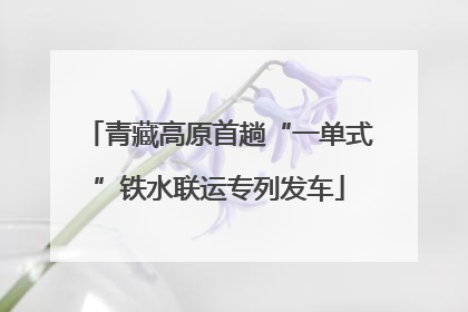 青藏高原首趟“一单式”铁水联运专列发车