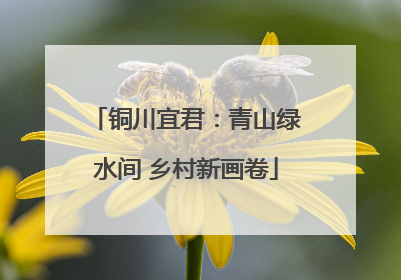 铜川宜君：青山绿水间 乡村新画卷
