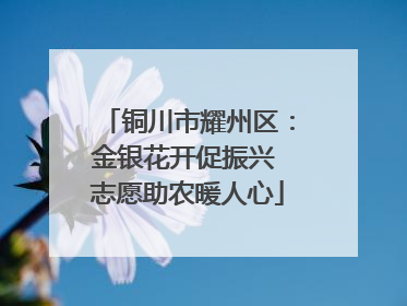 铜川市耀州区：金银花开促振兴 志愿助农暖人心