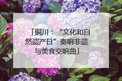 铜川：“文化和自然遗产日”奏响非遗与美食交响曲