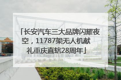 长安汽车三大品牌闪耀夜空，11787架无人机献礼重庆直辖28周年