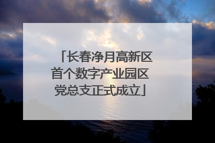 长春净月高新区首个数字产业园区党总支正式成立