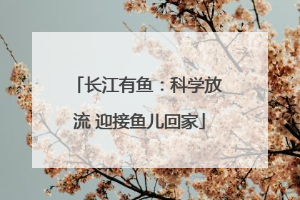 长江有鱼：科学放流 迎接鱼儿回家