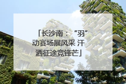 长沙南：“羽”动赛场展风采 汗洒征途竞锋芒