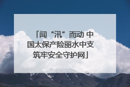 闻“汛”而动 中国太保产险丽水中支筑牢安全守护网