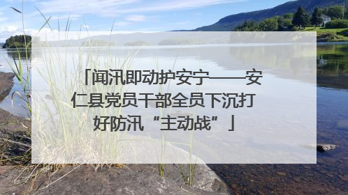闻汛即动护安宁——安仁县党员干部全员下沉打好防汛“主动战”