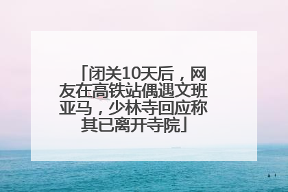 闭关10天后，网友在高铁站偶遇文班亚马，少林寺回应称其已离开寺院