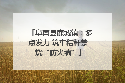 阜南县鹿城镇：多点发力 筑牢秸秆禁烧“防火墙”