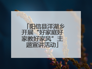 阳信县洋湖乡开展“好家庭好家教好家风”主题宣讲活动