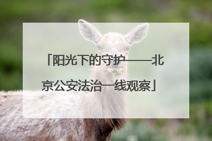 阳光下的守护——北京公安法治一线观察