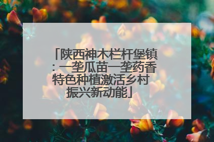 陕西神木栏杆堡镇：一垄瓜苗一垄药香 特色种植激活乡村振兴新动能