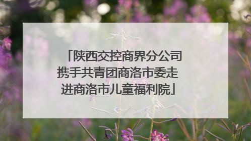 陕西交控商界分公司携手共青团商洛市委走进商洛市儿童福利院