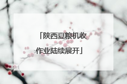 陕西夏粮机收作业陆续展开