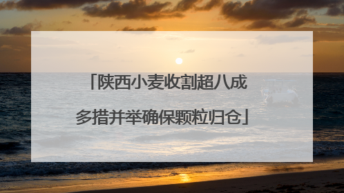 陕西小麦收割超八成 多措并举确保颗粒归仓