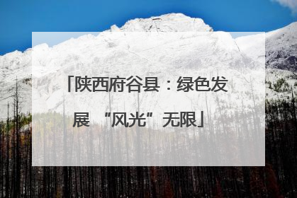 陕西府谷县：绿色发展 “风光”无限