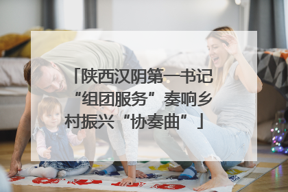 陕西汉阴第一书记“组团服务”奏响乡村振兴“协奏曲”