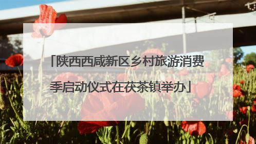 陕西西咸新区乡村旅游消费季启动仪式在茯茶镇举办