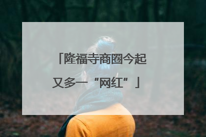 隆福寺商圈今起又多一“网红”
