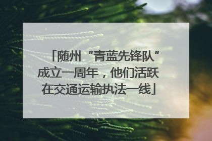 随州“青蓝先锋队”成立一周年，他们活跃在交通运输执法一线
