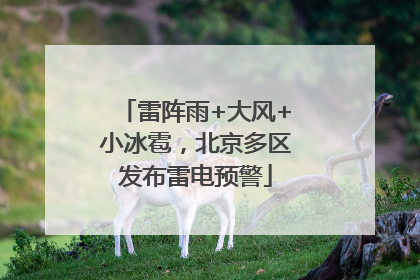 雷阵雨+大风+小冰雹，北京多区发布雷电预警